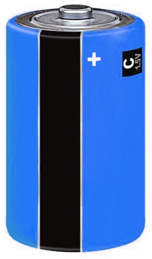 CAPITAL | C TYPE BATTERY X 1