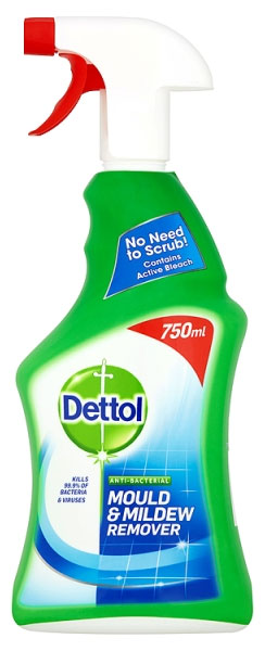 RECKITT | DETTOL MOULD & MILDEW REMOVER X 750ML