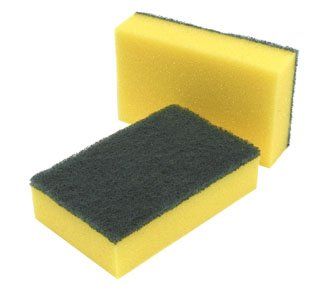 CAPITAL | SPONGE SCOURER X 10