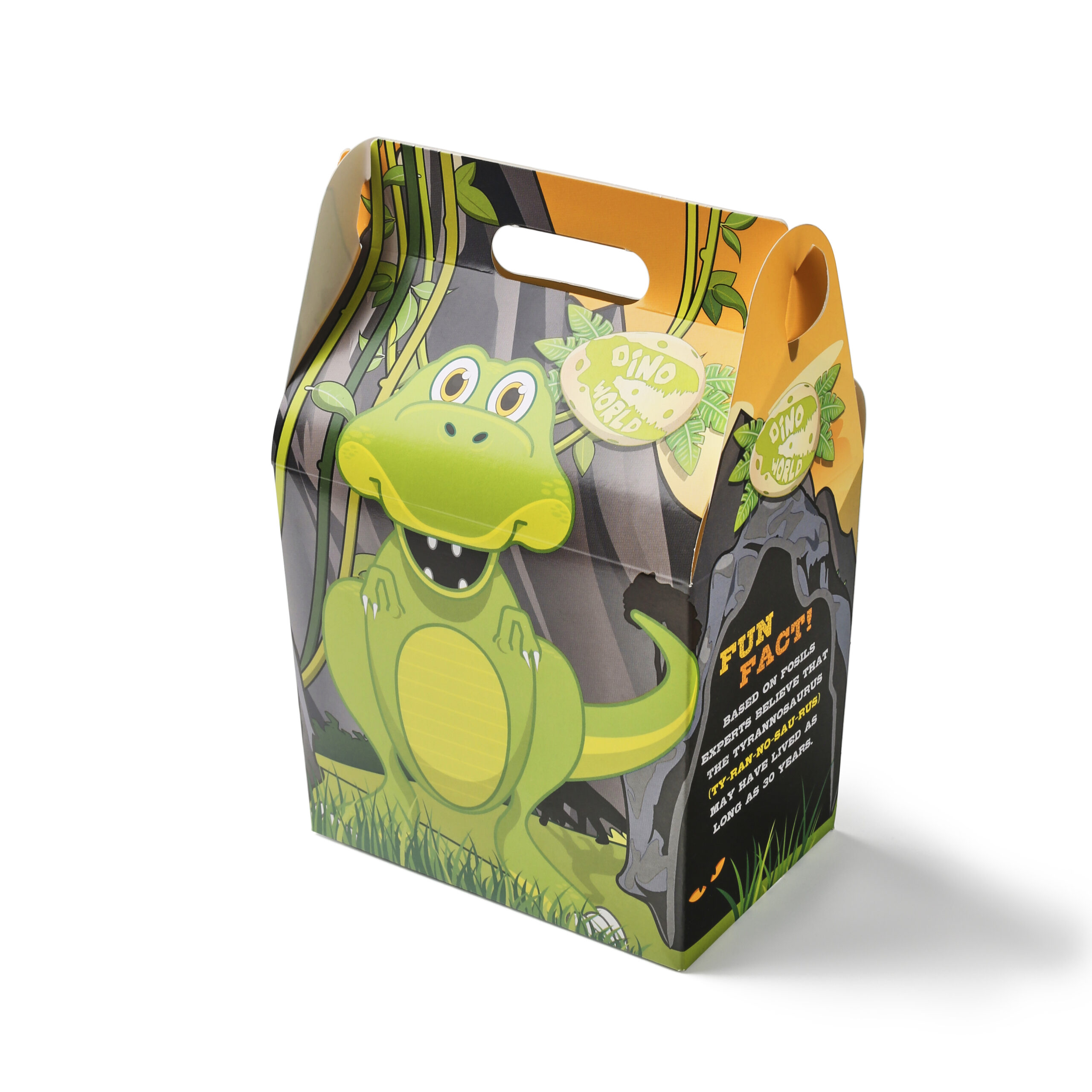 KIDS MEAL BOX DINOSAUR LUNCH BOX X 250 | KIDSDW