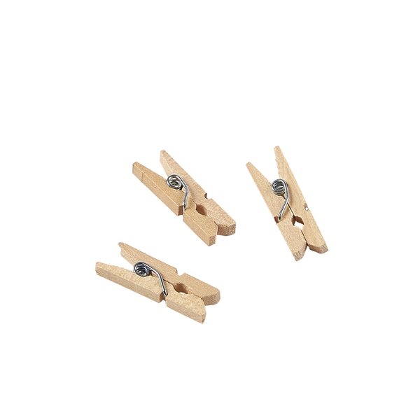 GENWARE | MINIATURE WOODEN PEGS 2.5CM X 1000 | PEG2