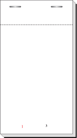 CARBON DUPLICATE WAITER PADS 3 X 5.5″ X 100 | PADS15